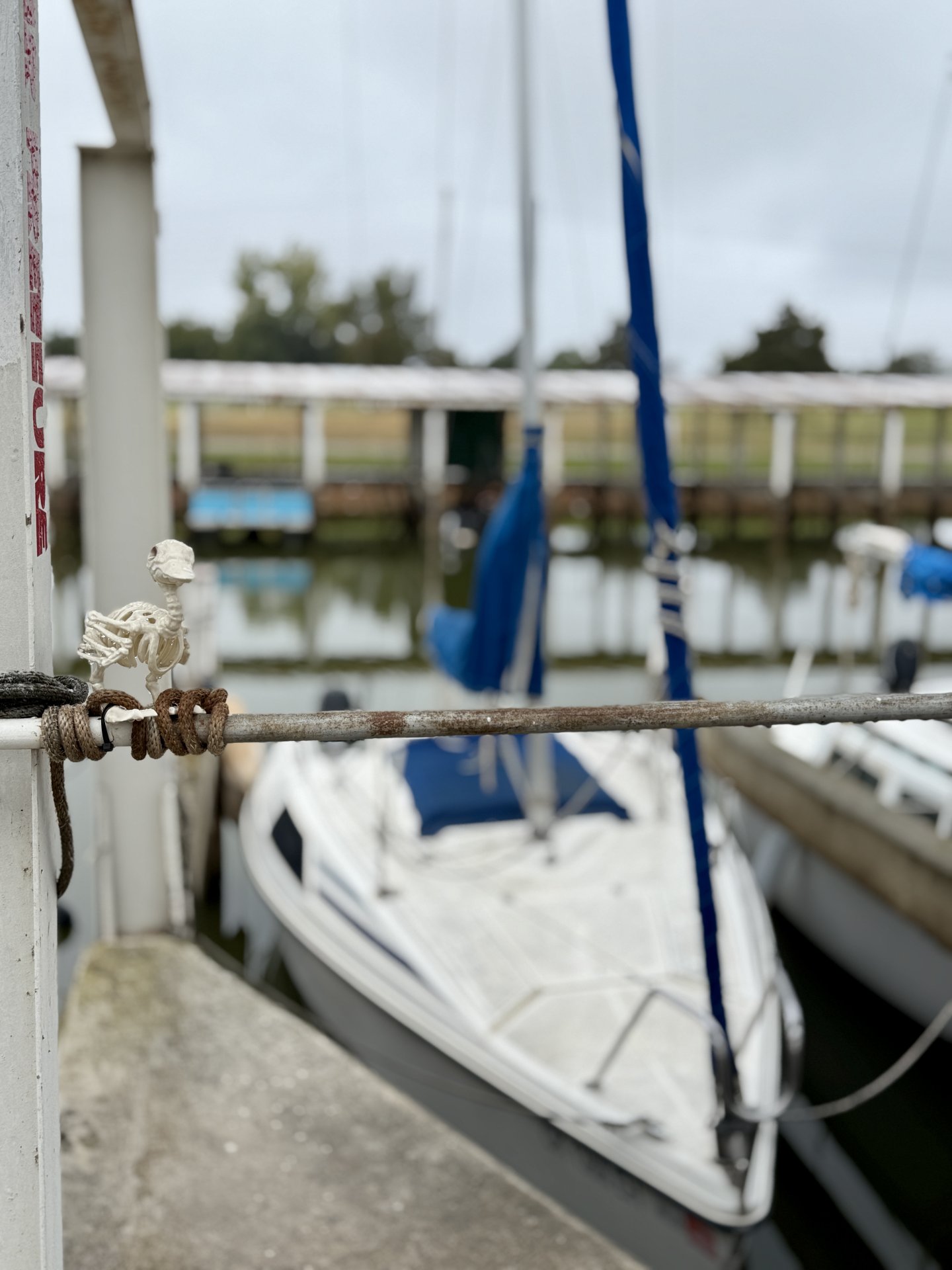 Featured sailing photo
